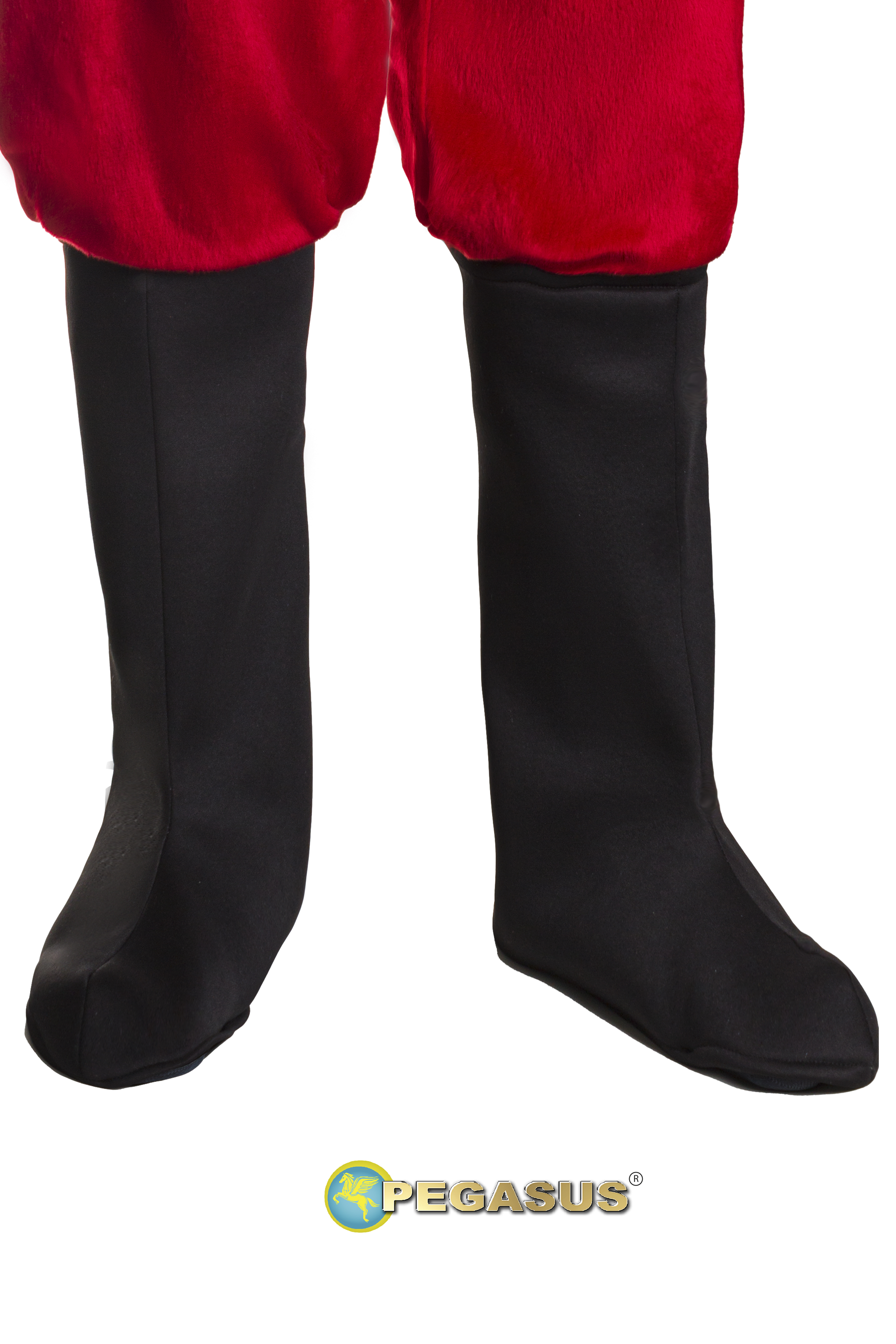 COPRISTIVALE DI BABBO NATALE